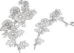 矢量花鸟