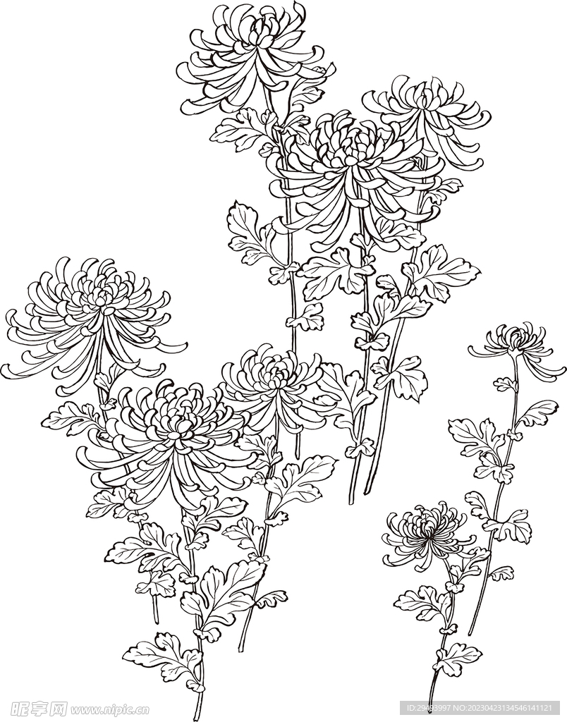 矢量花鸟