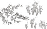 矢量花鸟