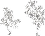 矢量花鸟