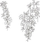 矢量花鸟