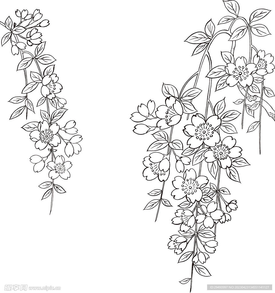矢量花鸟