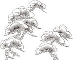 矢量花鸟