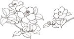 矢量花鸟