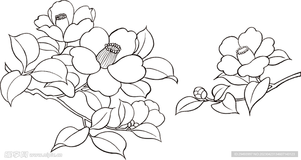 矢量花鸟