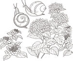矢量花鸟