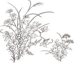 矢量花鸟