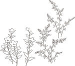 矢量花鸟