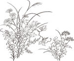 矢量花鸟
