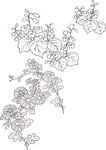矢量花鸟