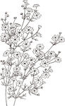 矢量花鸟