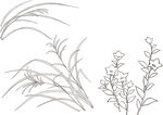 矢量花鸟