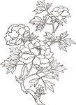 矢量花鸟