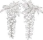 矢量花鸟