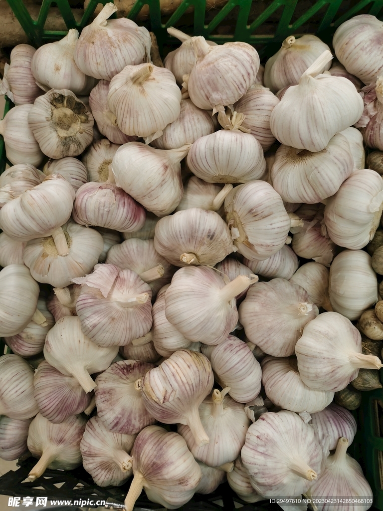 蒜头