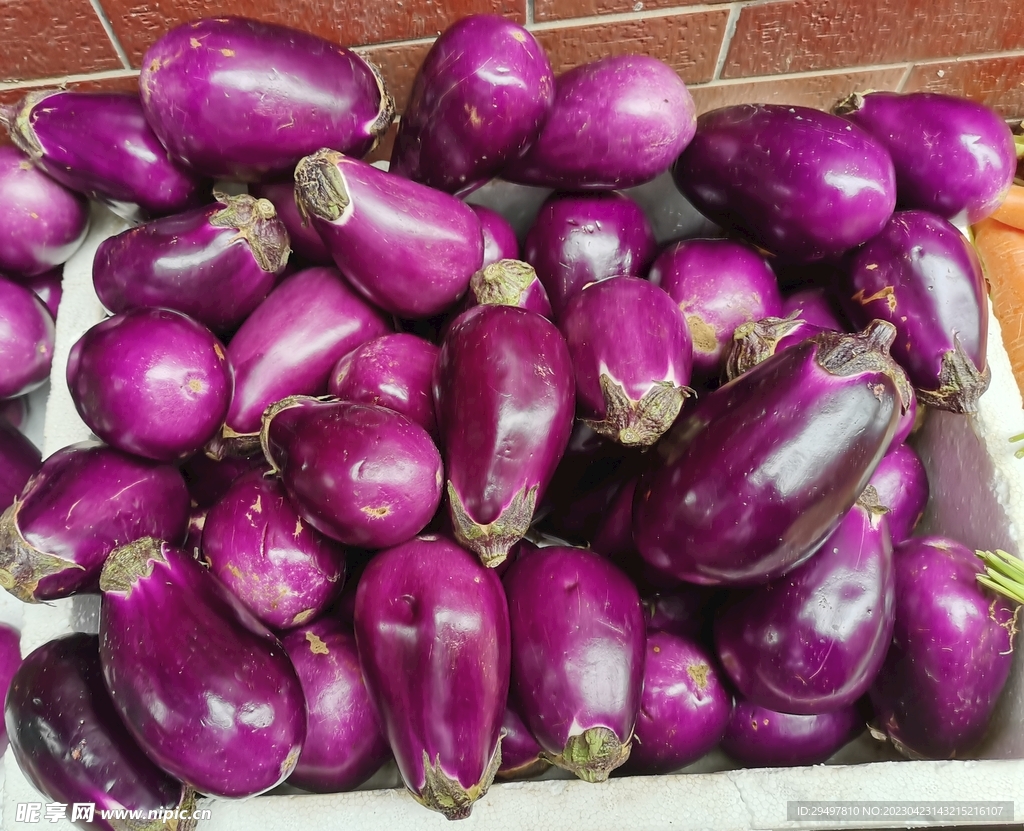 在桌上的大圆的茄子紫罗兰 库存图片. 图片 包括有 紫色, 问题的, 茄子, 厨房, 蔬菜, 家庭, 食物 - 76644521