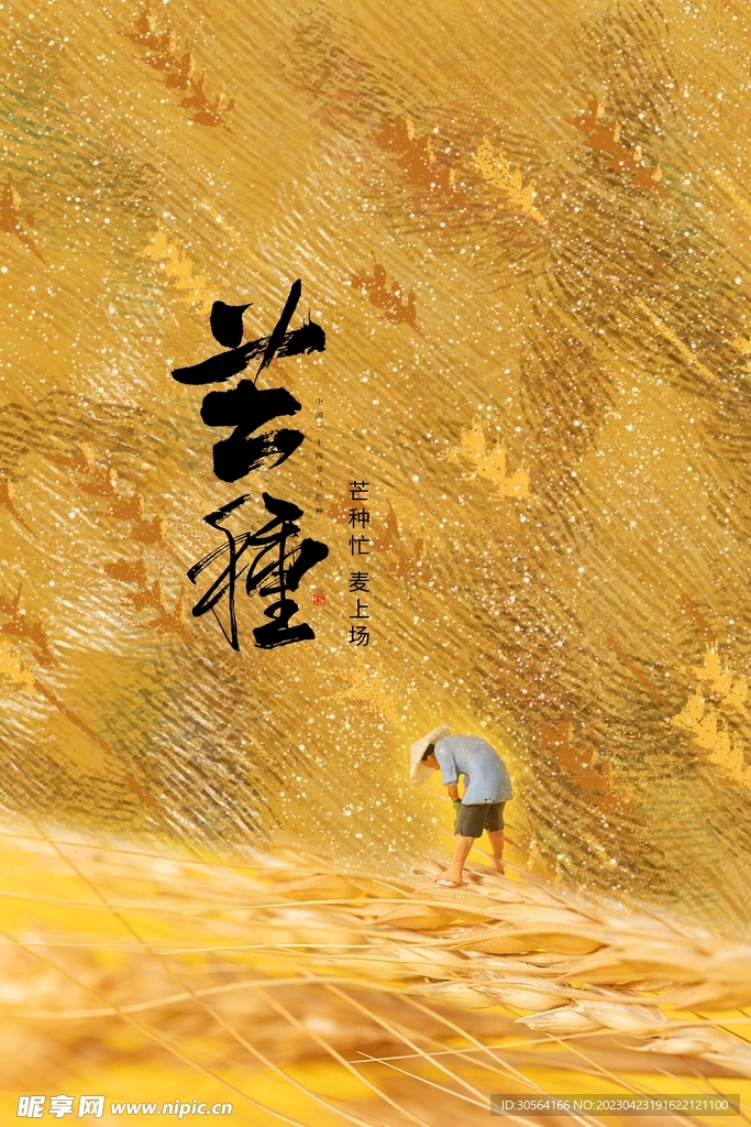 芒种