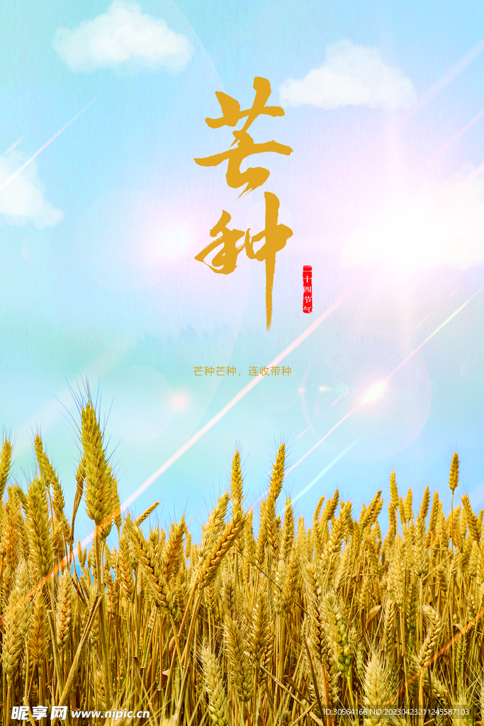 芒种