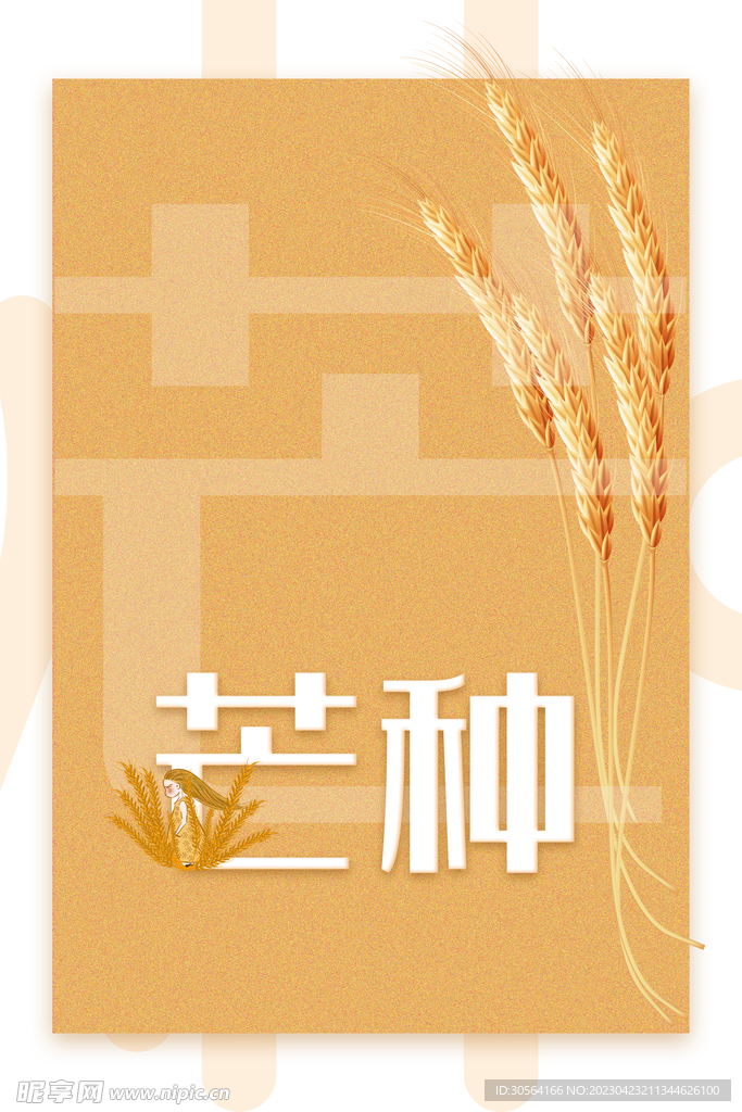 芒种