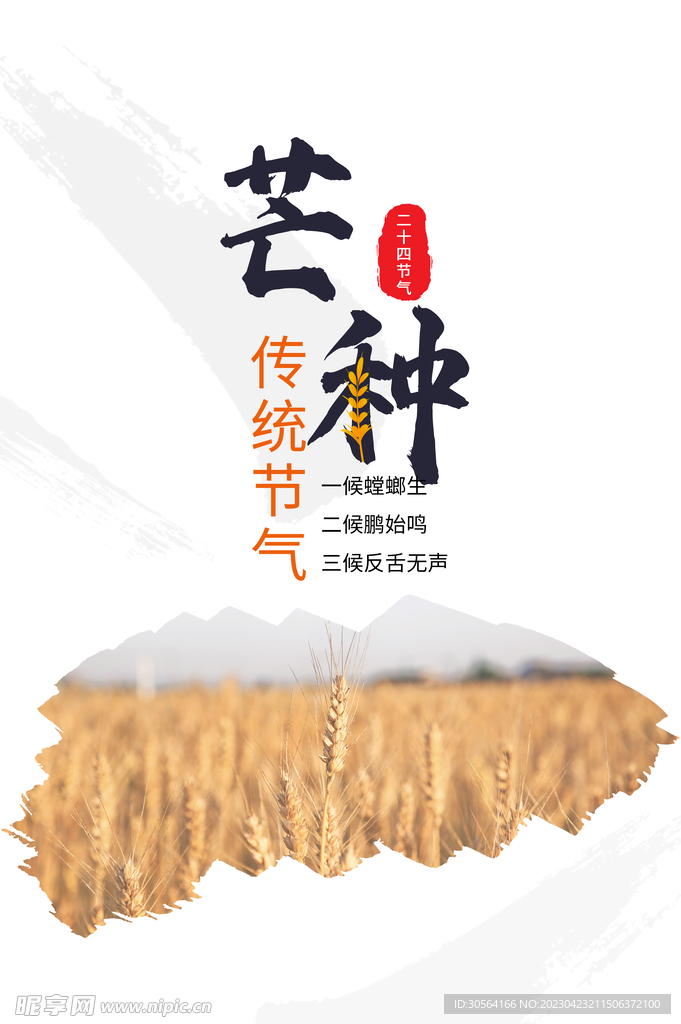 芒种