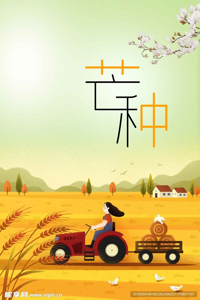 芒种