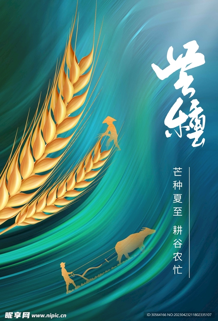 芒种