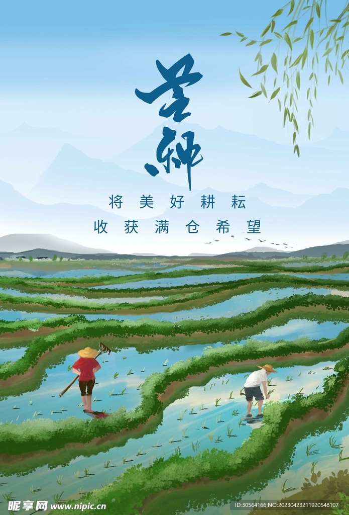芒种