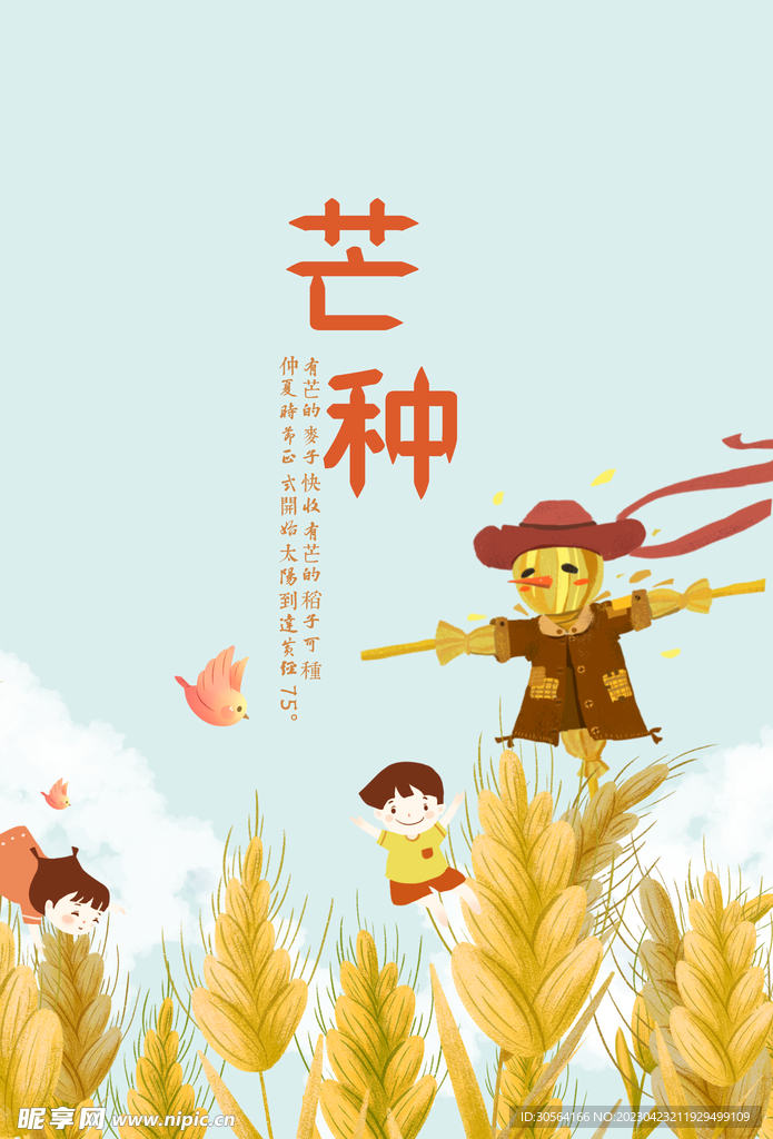 芒种