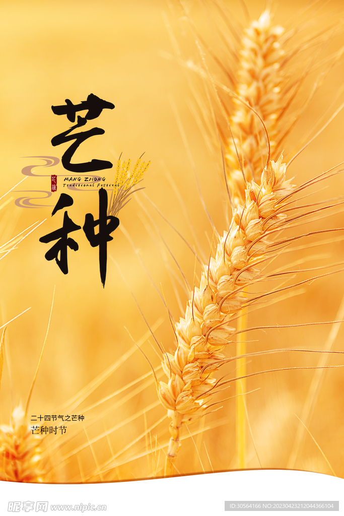 芒种