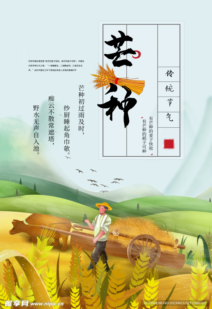芒种