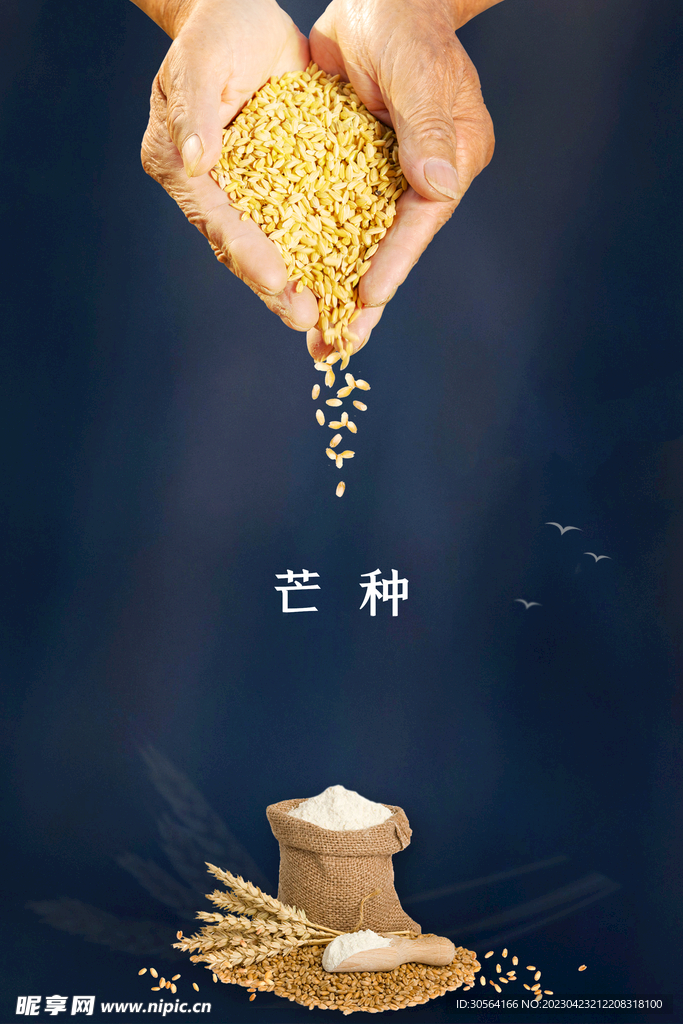 芒种