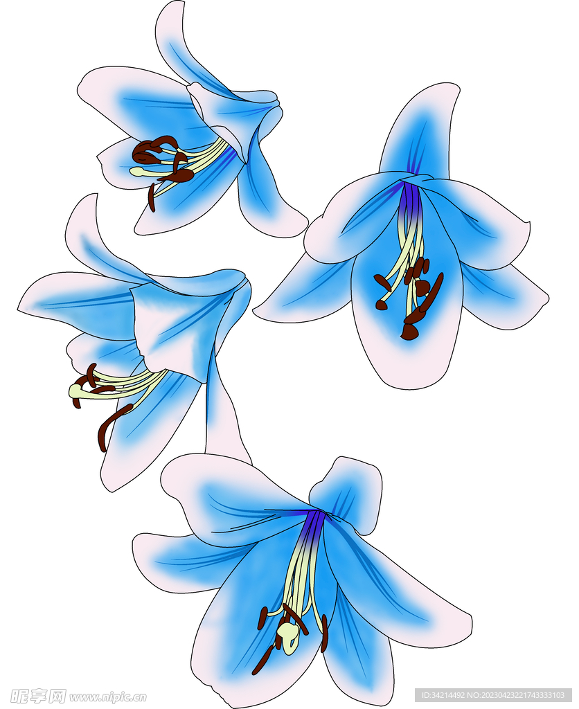 百合花