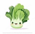 可爱的白菜插画高清图片