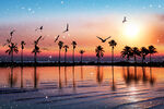 海滩椰子树飞鸟风景无框装饰画