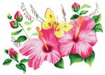 蝴蝶花