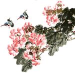 牡丹花