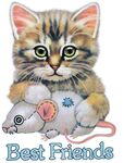 猫鼠