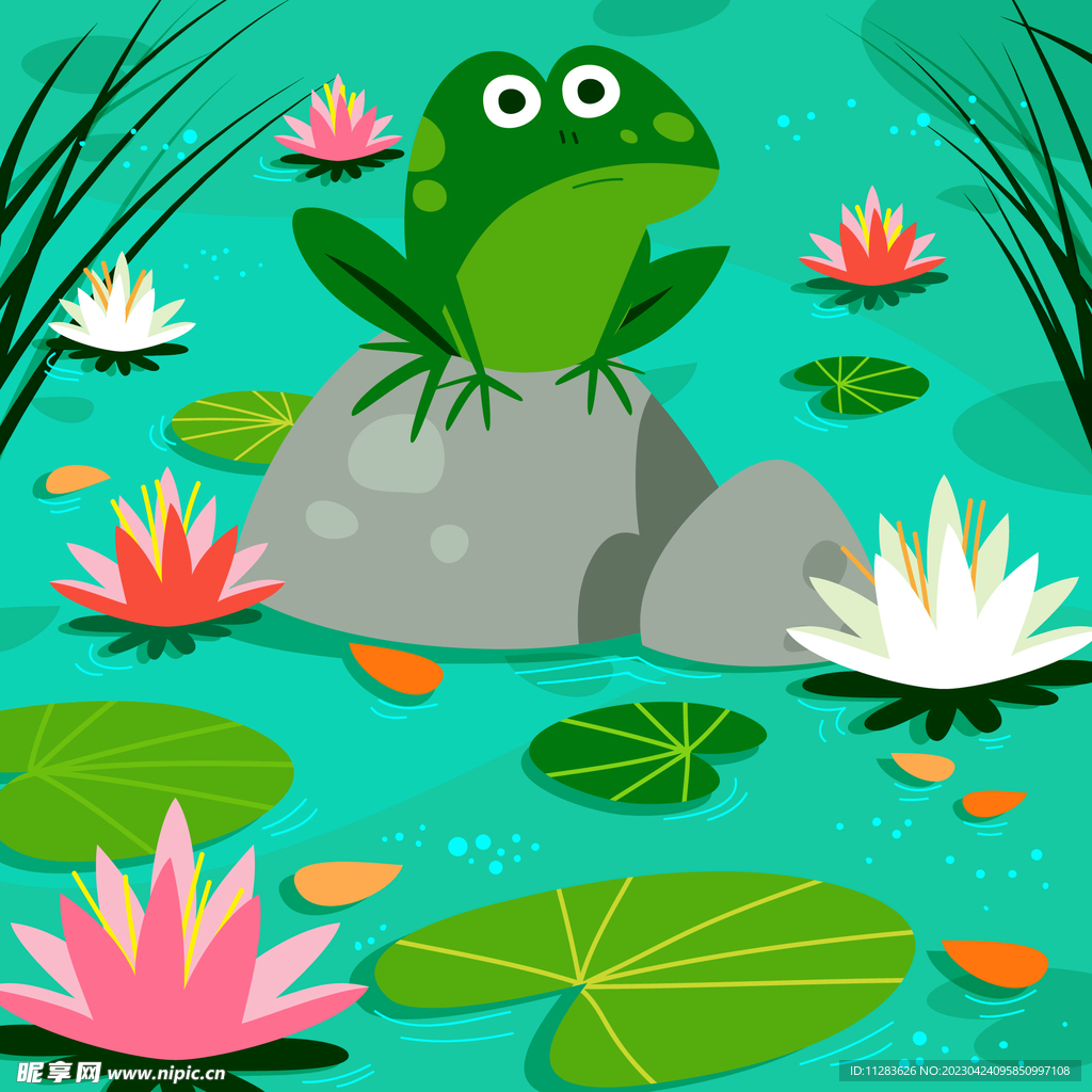 青蛙插画