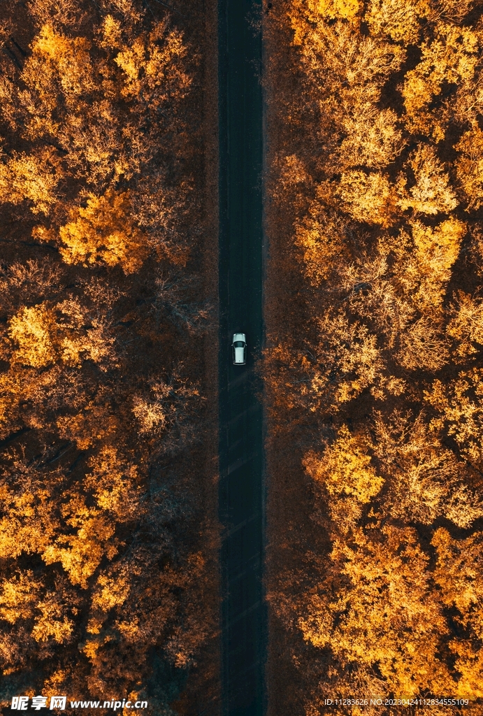 公路旅行风景