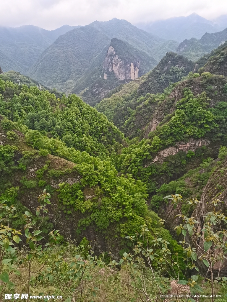 九龙山