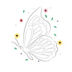 蝴蝶线稿 