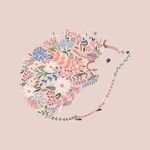 刺猬