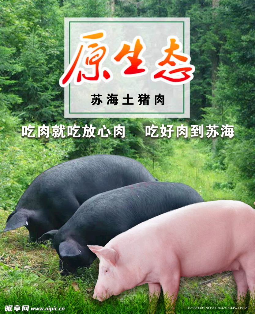 猪肉美食海报