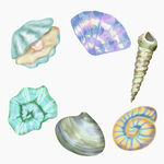 海洋生物