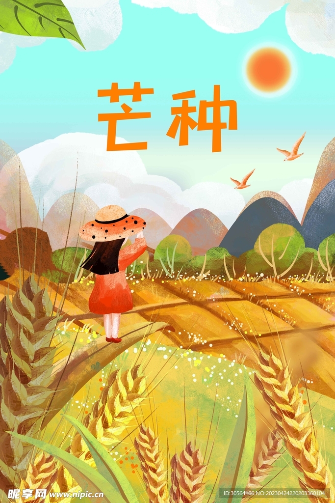 芒种