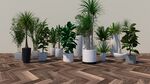 盆栽植物模型