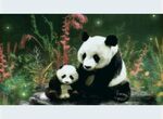 panda熊猫图片