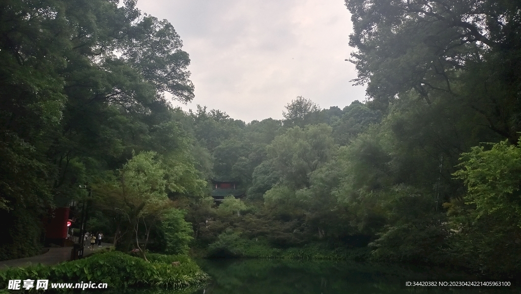 林间风景