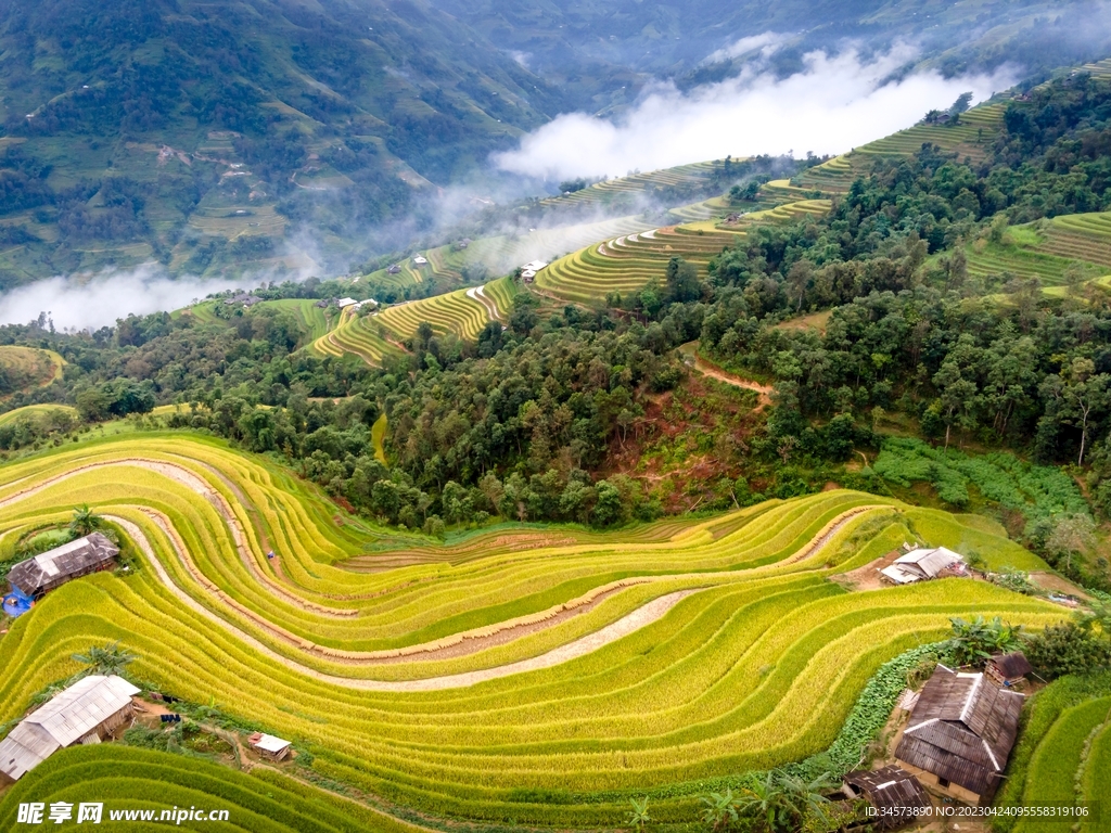 山村梯田