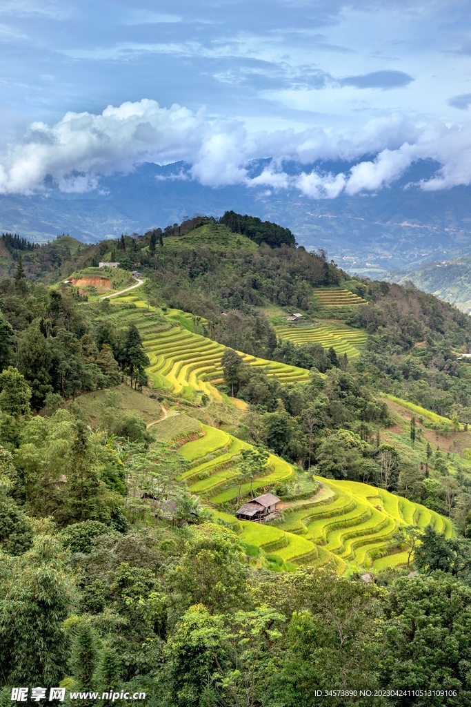 山坡人家